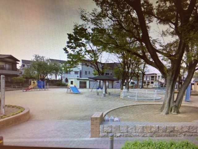 公園　育和公園（公園）まで324m