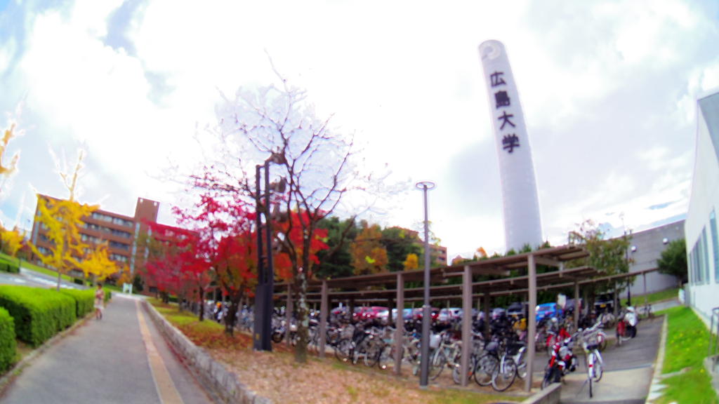大学・短大　広島大学（大学・短大）まで2600m