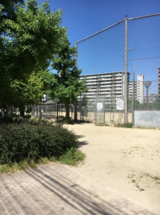 公園　波除公園（公園）まで561m