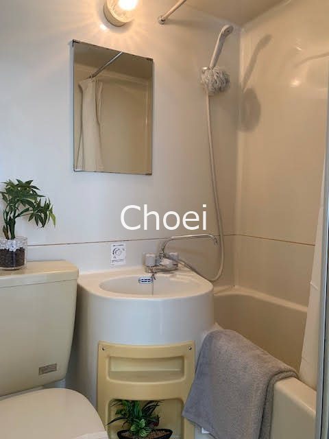 バス・シャワールーム　※別部屋写真です