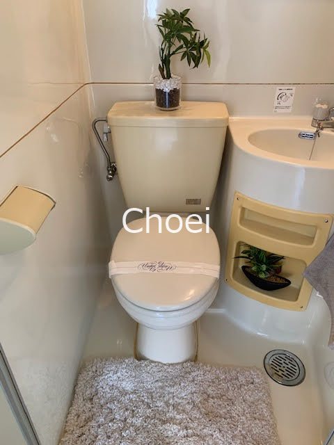 トイレ　※別部屋写真です