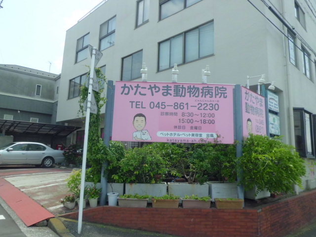 病院　動物病院（病院）まで429m