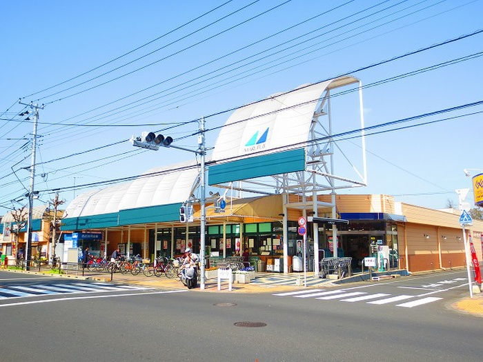 スーパー　マルフジ　南田園店（スーパー）まで1200m