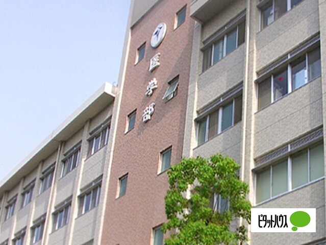 大学・短大　国立徳島大学医学部（大学・短大）まで1097m