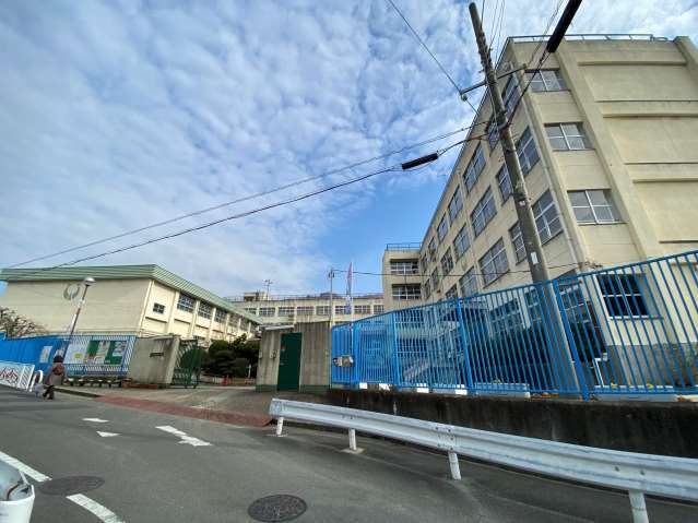 小学校　東大阪市立繩手東小学校（小学校）まで189m