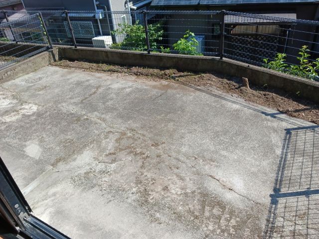 庭
