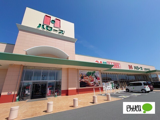 スーパー　ハローズ北島中央店（スーパー）まで1174m