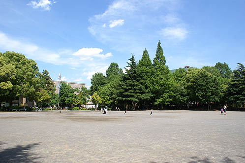 公園　教育の森公園（公園）まで956m