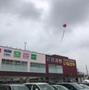 スーパー　いなげや川崎京町店（スーパー）まで303m