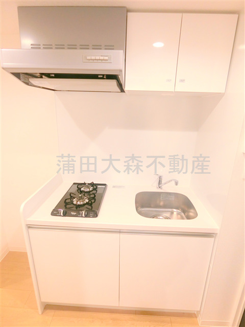 キッチン　2口ガスシステムキッチン