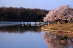 公園　洲原公園（公園）まで854m
