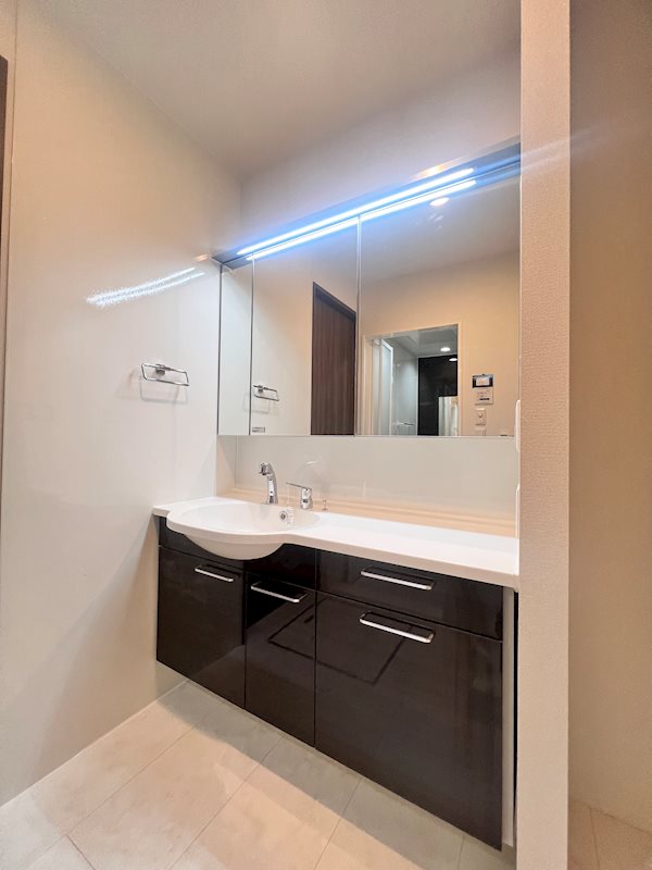 洗面設備　※別号室の写真です。