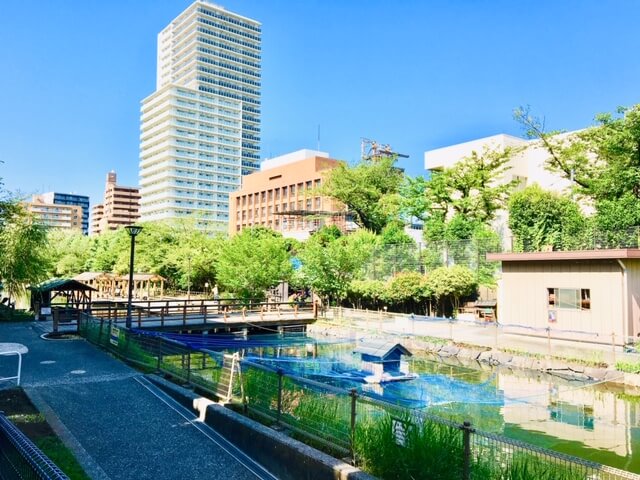 公園　木場親水公園（公園）まで609m