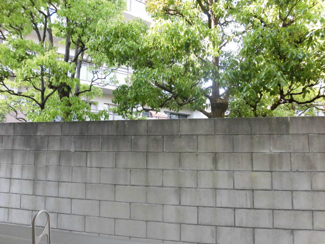 眺望　バルコニーから見た背景です