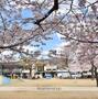 公園　西深江公園（公園）まで427m