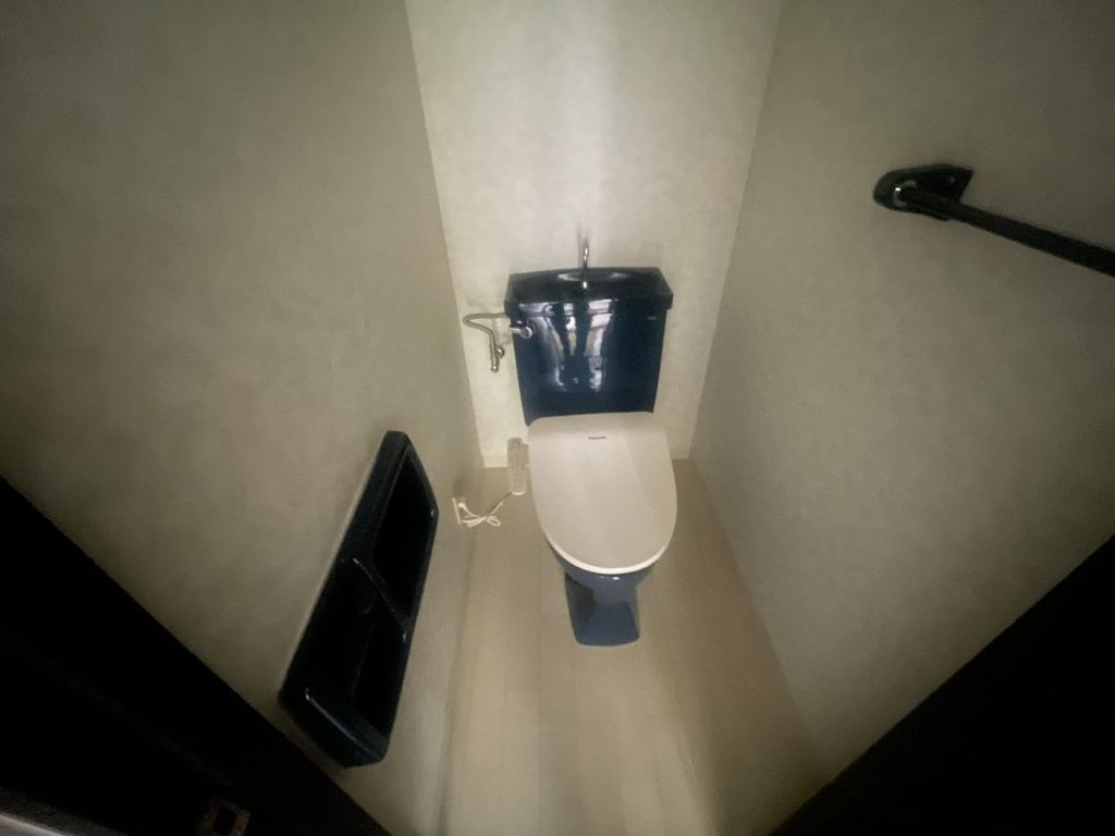 カーソルサヴァリンナのトイレ写真