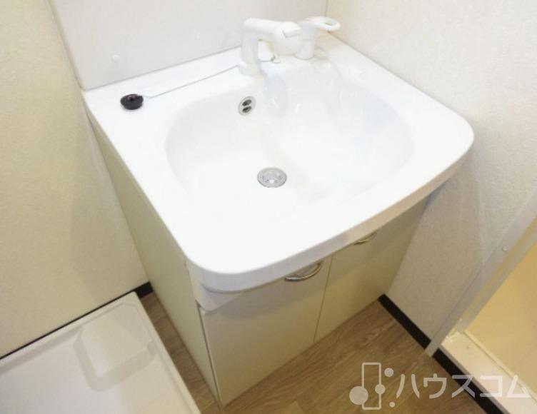 洗面設備　大きなボウルで洗濯だって出来ちゃいます♪