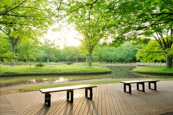 公園　代々木公園（公園）まで184m