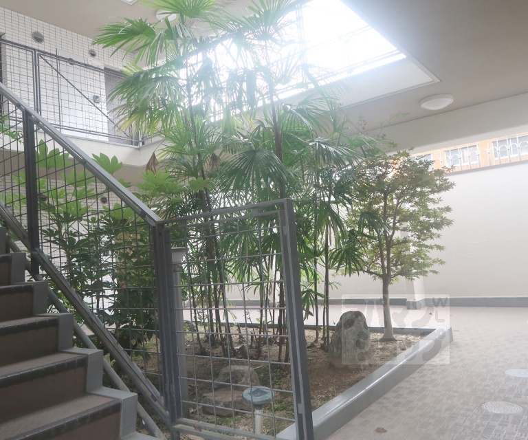 庭