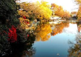 公園　武蔵関公園（公園）まで748m