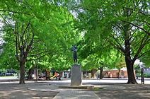 公園　板橋区平和公園（公園）まで700m