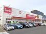 その他　ツルハドラッグ白樺店（その他）まで1300m
