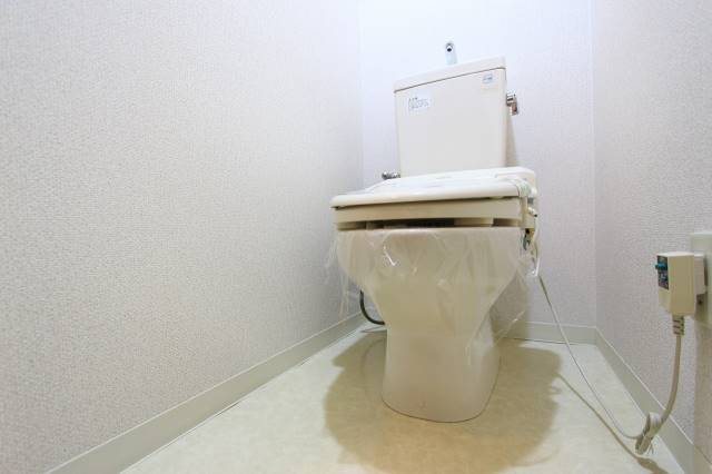 トイレ　トイレで考え事でも。