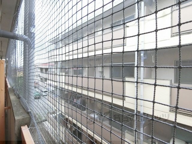 眺望　眺望