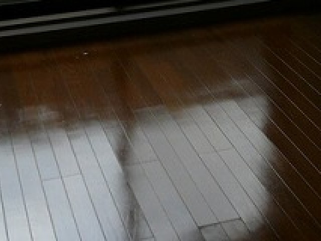 居室・リビング　フローリングのお部屋