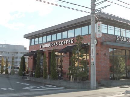 飲食店　スターバックス（飲食店）まで800m