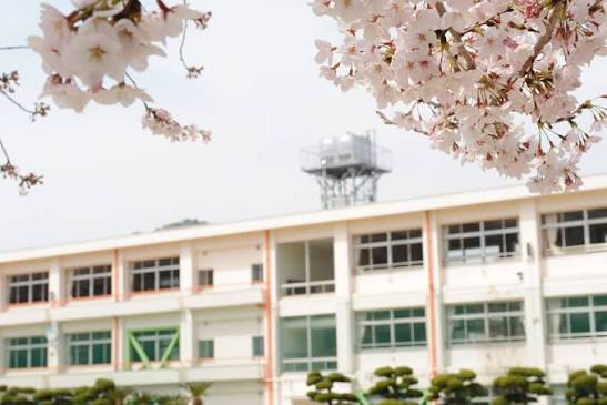 小学校　倉敷市立赤崎小学校（小学校）まで594m