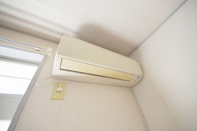 ドエルカトレアのその他写真