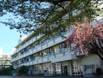 小学校　港区立青南小学校（小学校）まで704m