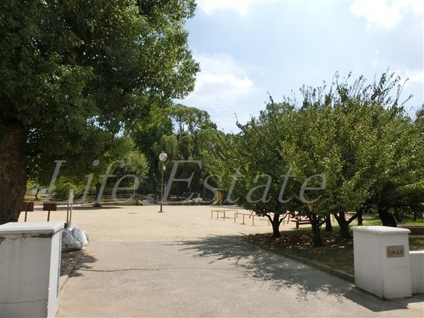 公園　高津公園（公園）まで323m