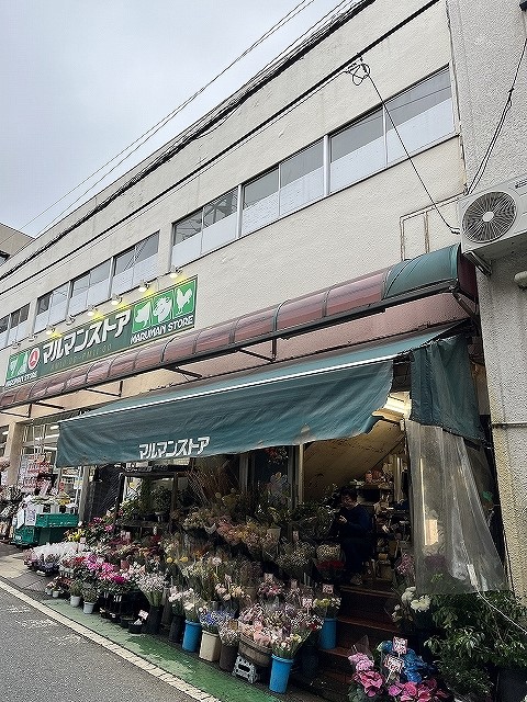 落ち着いた住宅地 rosier M Mの周辺写真