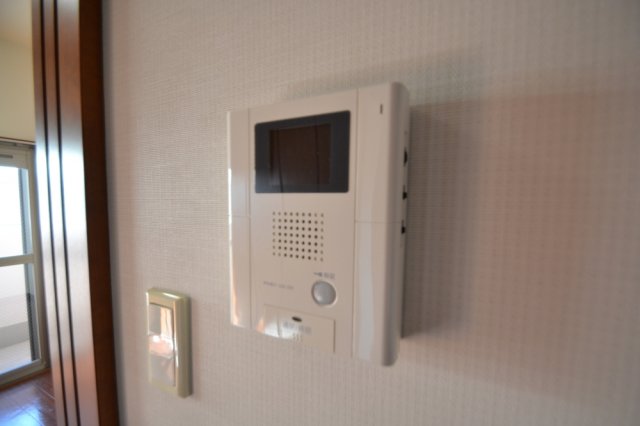 ミスタープレジデントのその他写真