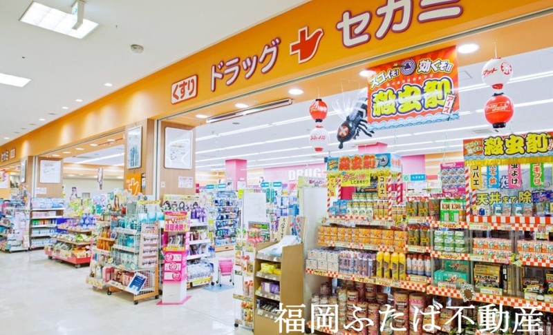 パラシオンの周辺写真