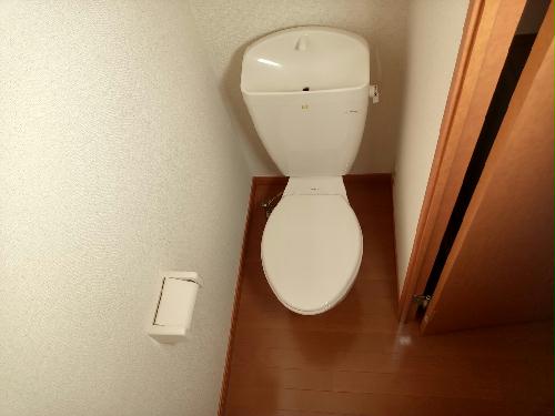 トイレ　備品や設備仕様は号室等により異なります。現地をご確認下さい。