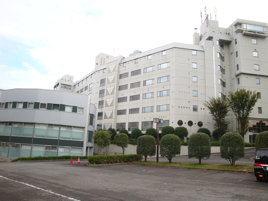 大学・短大　私立山野美容芸術短期大学（大学・短大）まで1462m