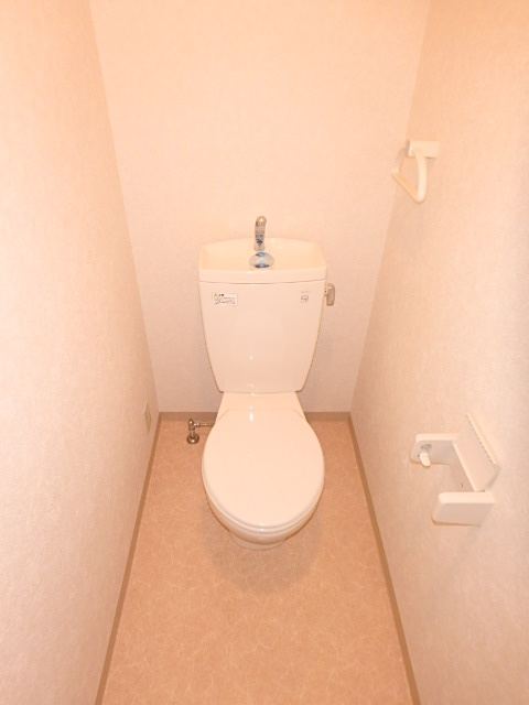 南海高野線 金剛駅 徒歩1分 4階建 築24年のトイレ写真