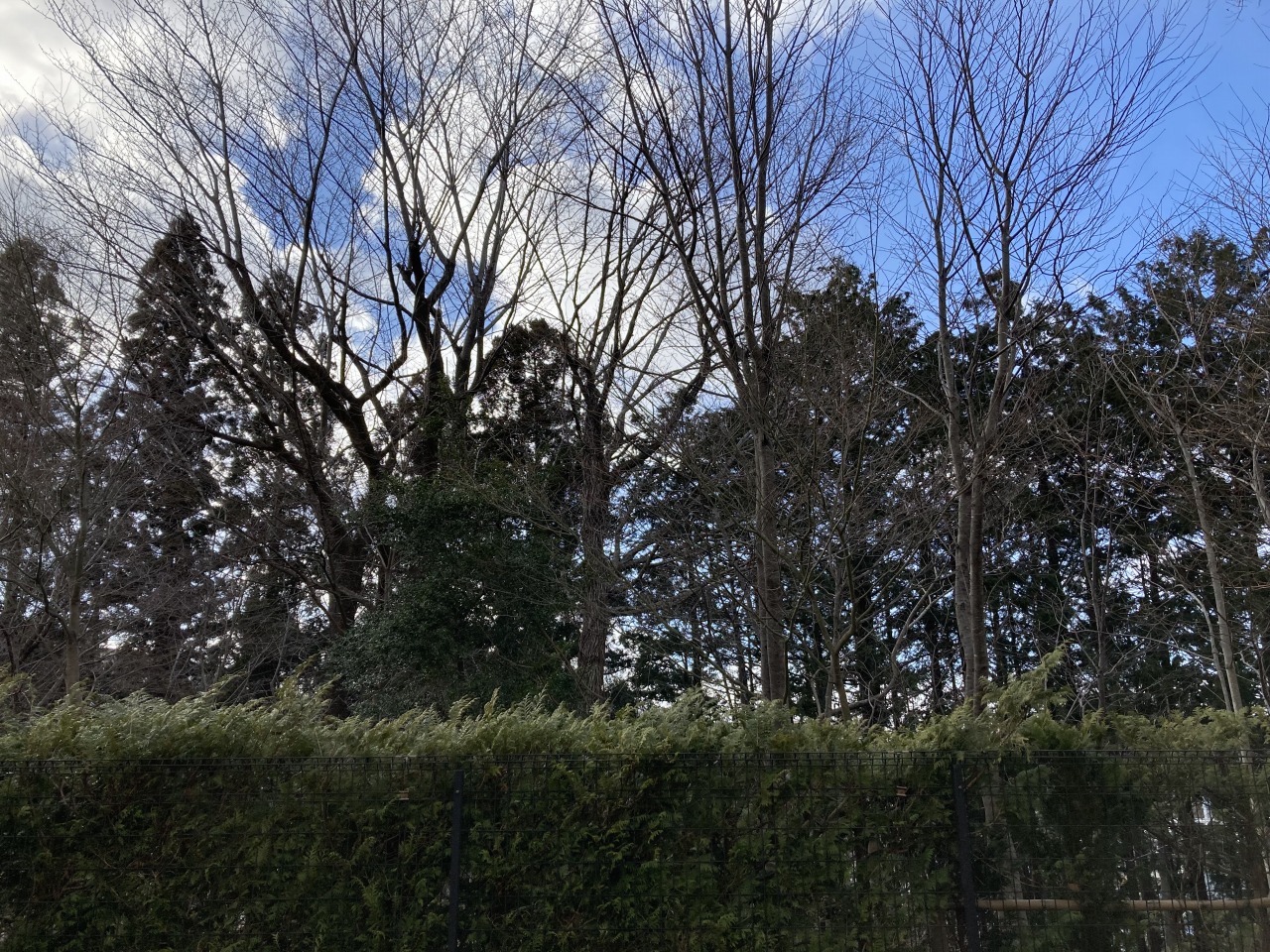 その他　庭の外