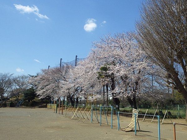 小学校　犢橋小学校（小学校）まで4095m