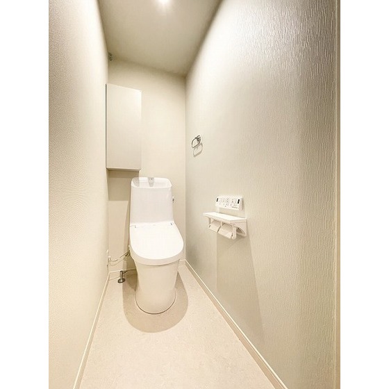 ラ・ヌーヴェル泉中央のトイレ写真