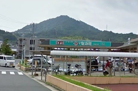 ドラックストア　セガミ（ドラッグストア）まで300m