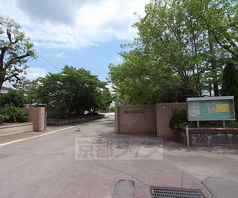 中学校　男山中学校（中学校）まで494m