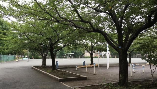 公園　千住スポーツ公園（公園）まで706m