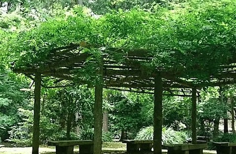 公園　芹ヶ谷公園（公園）まで425m