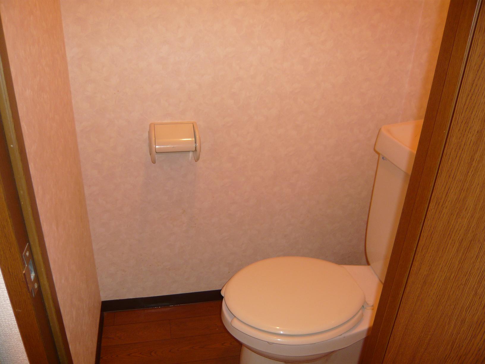 鹿児島市 3階建 築31年のトイレ写真