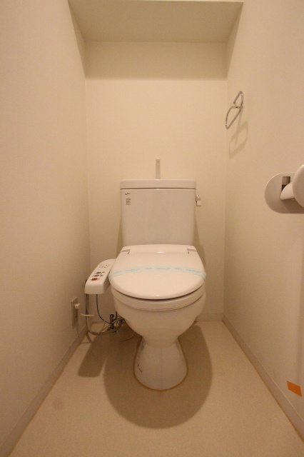 トイレ　同物件別号室の写真