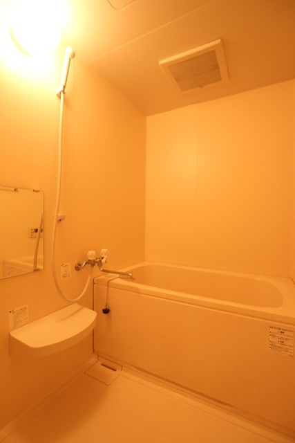 バス・シャワールーム　別号室の写真です